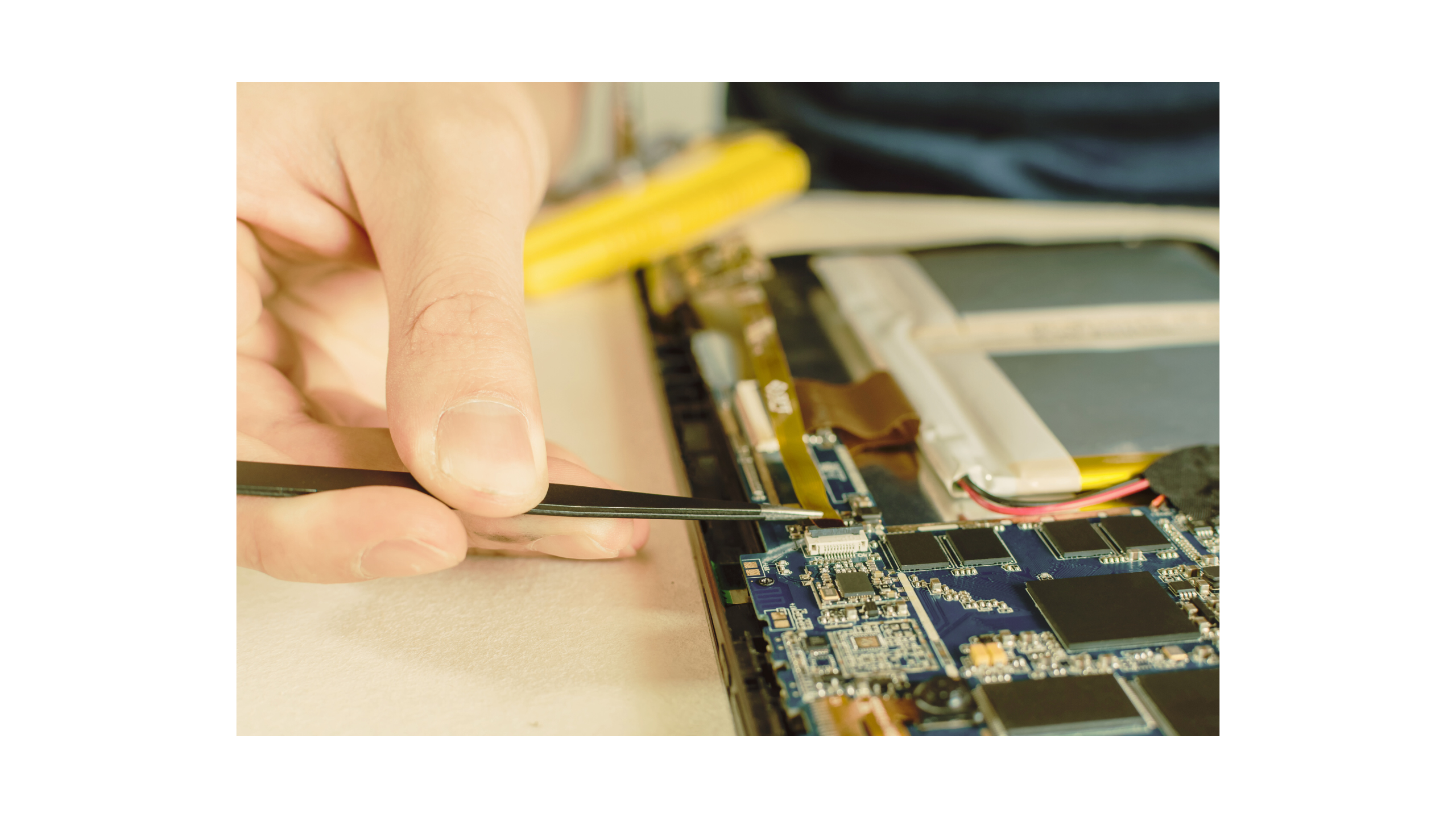 02 – Manutenção e Suporte Técnico